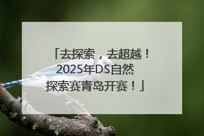 去探索，去超越！2025年DS自然探索赛青岛开赛！