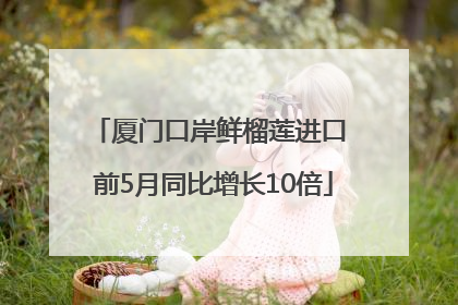 厦门口岸鲜榴莲进口 前5月同比增长10倍