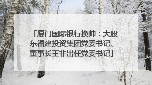厦门国际银行换帅：大股东福建投资集团党委书记、董事长王非出任党委书记