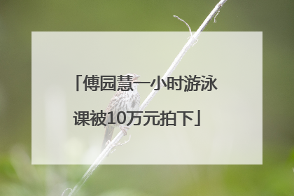傅园慧一小时游泳课被10万元拍下