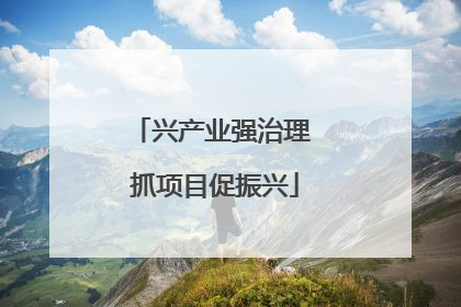 兴产业强治理 抓项目促振兴