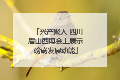 兴产聚人 四川眉山西博会上展示磅礴发展动能