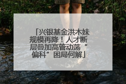 兴银基金洪木妹规模再降！人才断层叠加高管动荡“偏科”困局何解