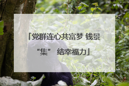 党群连心共富梦 钱景 “集” 结幸福力
