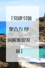 党建引领聚合力 纾困解难促发展