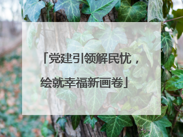 党建引领解民忧，绘就幸福新画卷
