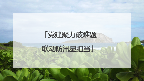 党建聚力破难题 联动防汛显担当