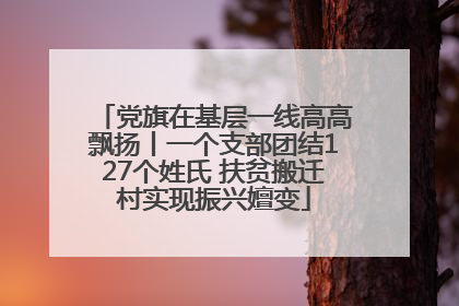 党旗在基层一线高高飘扬丨一个支部团结127个姓氏 扶贫搬迁村实现振兴嬗变