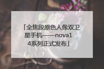 全焦段原色人像双卫星手机——nova14系列正式发布