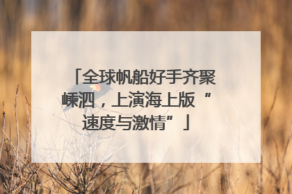 全球帆船好手齐聚嵊泗，上演海上版“速度与激情”