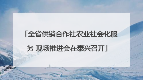 全省供销合作社农业社会化服务 现场推进会在泰兴召开