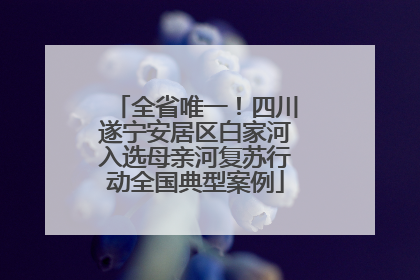 全省唯一！四川遂宁安居区白家河入选母亲河复苏行动全国典型案例