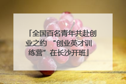 全国百名青年共赴创业之约 “创业英才训练营”在长沙开班