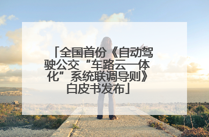 全国首份《自动驾驶公交“车路云一体化”系统联调导则》白皮书发布