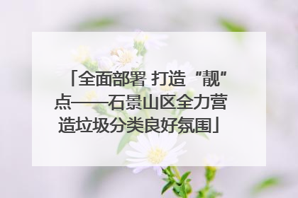 全面部署 打造“靓” 点——石景山区全力营造垃圾分类良好氛围