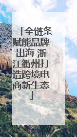 全链条赋能品牌出海 浙江衢州打造跨境电商新生态