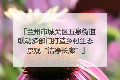 兰州市城关区五泉街道联动多部门打造乡村生态景观“洁净长廊”