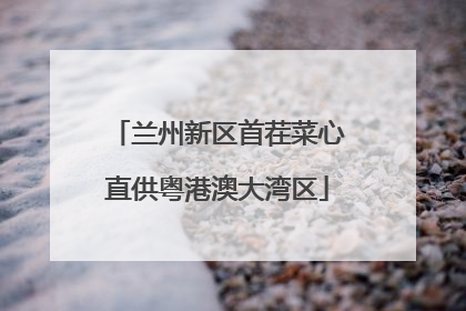 兰州新区首茬菜心直供粤港澳大湾区