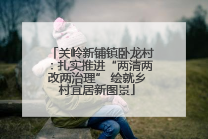 关岭新铺镇卧龙村：扎实推进“两清两改两治理” 绘就乡村宜居新图景