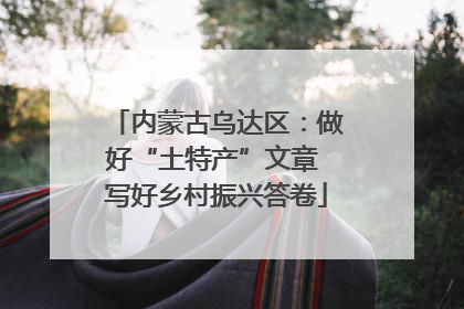 内蒙古乌达区：做好“土特产”文章 写好乡村振兴答卷