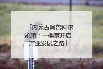 内蒙古阿鲁科尔沁旗：一棵草开启产业发展之路