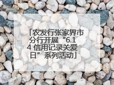 农发行张家界市分行开展“6.14 信用记录关爱日”系列活动