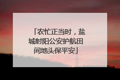 农忙正当时，盐城射阳公安护航田间地头保平安