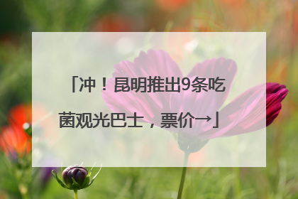 冲！昆明推出9条吃菌观光巴士，票价→