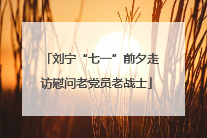 刘宁“七一”前夕走访慰问老党员老战士