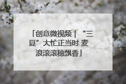 创意微视频｜“三夏”大忙正当时 麦浪滚滚穗飘香