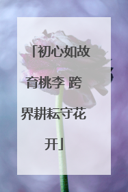 初心如故育桃李 跨界耕耘守花开