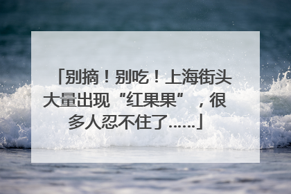 别摘！别吃！上海街头大量出现“红果果”，很多人忍不住了……