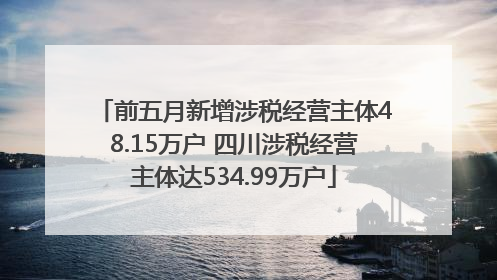 前五月新增涉税经营主体48.15万户 四川涉税经营主体达534.99万户