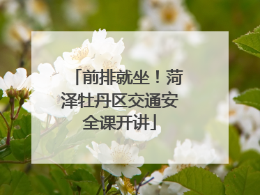 前排就坐！菏泽牡丹区交通安全课开讲