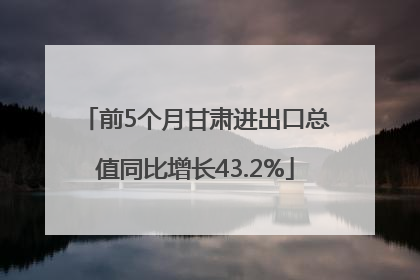 前5个月甘肃进出口总值同比增长43.2%