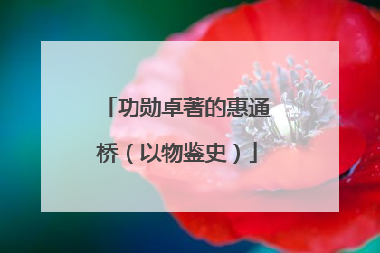 功勋卓著的惠通桥（以物鉴史）