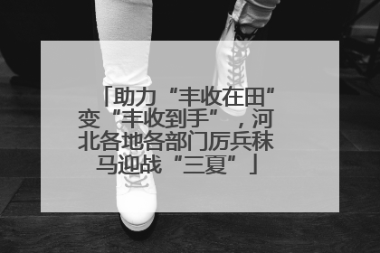 助力“丰收在田”变“丰收到手”，河北各地各部门厉兵秣马迎战“三夏”