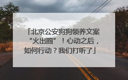 北京公安狗狗领养文案“火出圈”！心动之后，如何行动？我们打听了
