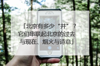 北京有多少“井”？它们串联起北京的过去与现在、烟火与诗意