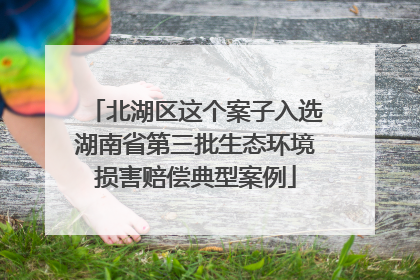 北湖区这个案子入选湖南省第三批生态环境损害赔偿典型案例