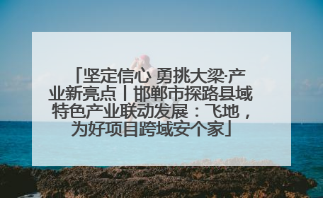坚定信心 勇挑大梁·产业新亮点丨邯郸市探路县域特色产业联动发展：飞地，为好项目跨域安个家