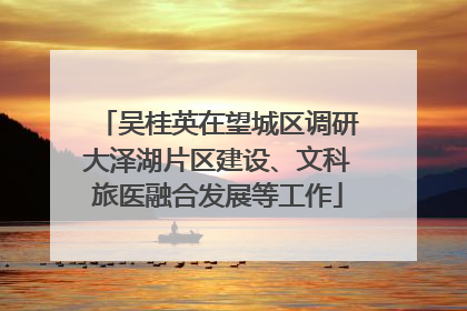 吴桂英在望城区调研大泽湖片区建设、文科旅医融合发展等工作
