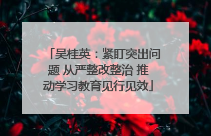 吴桂英：紧盯突出问题 从严整改整治 推动学习教育见行见效