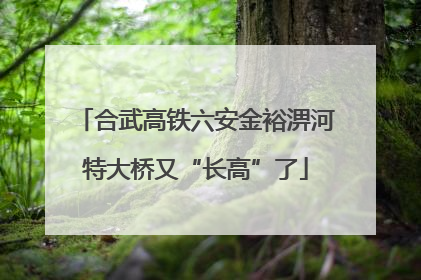 合武高铁六安金裕淠河特大桥又“长高”了