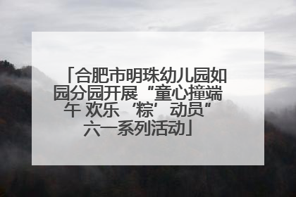 合肥市明珠幼儿园如园分园开展“童心撞端午 欢乐‘粽’动员”六一系列活动