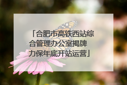 合肥市高铁西站综合管理办公室揭牌 力保年底开站运营