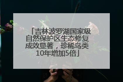 吉林波罗湖国家级自然保护区生态修复成效显著，珍稀鸟类10年增加5倍