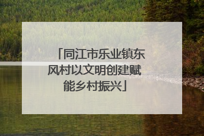 同江市乐业镇东风村以文明创建赋能乡村振兴