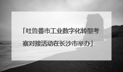 吐鲁番市工业数字化转型考察对接活动在长沙市举办