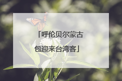 呼伦贝尔蒙古包迎来台湾客